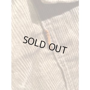 画像8: JELADO/Corduroy Bush Shorts キャメル