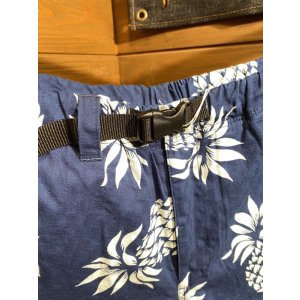 画像3: Cushman/Pineapple Short Pants