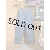 JELADO/331W Painter Pants