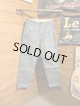 Colimbo/Coalwood Painter pants