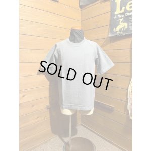 画像1: Colimbo/Hamptons Fabric TEE