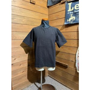 画像1: Colimbo/Hamptons Fabric TEE