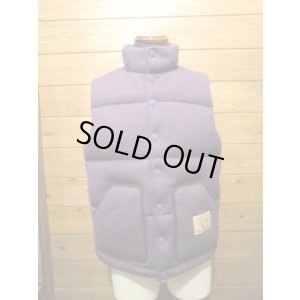 画像3: JELADO/Browns Beach Down Vest