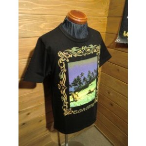 画像3: JELADO/ピクチャー　Tee