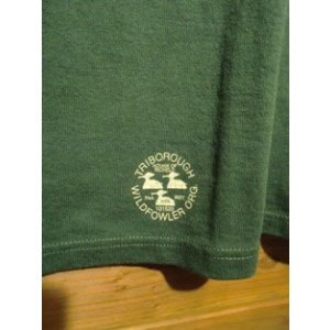 画像6: Colimbo/Yellow Park Plain Tee