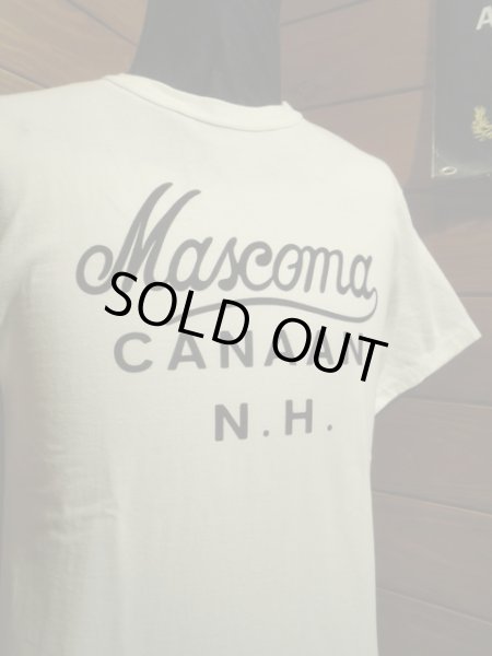 画像3: JELADO/Mascoma Tee　ホワイト (3)