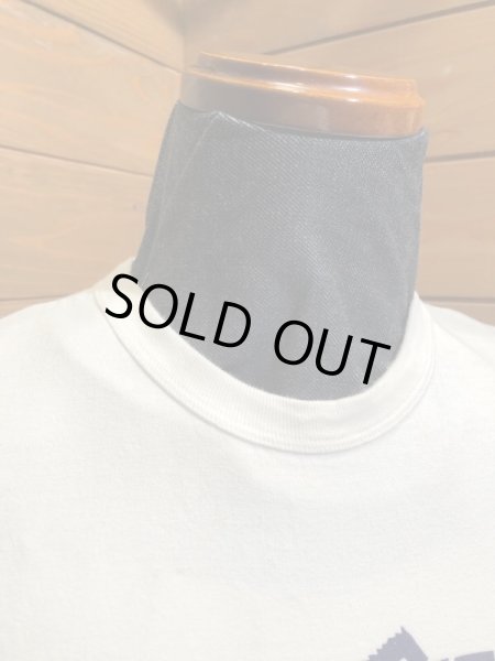 画像3: JELADO/Fisheries Tee ホワイト (3)