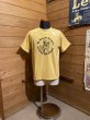 画像1: Cushman/Print Tee Hamms Bear イエロー (1)