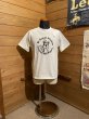 画像1: Cushman/Print Tee Hamms Bear ホワイト (1)