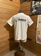 画像1: Cushman/25th Anniversry Print Tee ''Low Hide'' ホワイト (1)