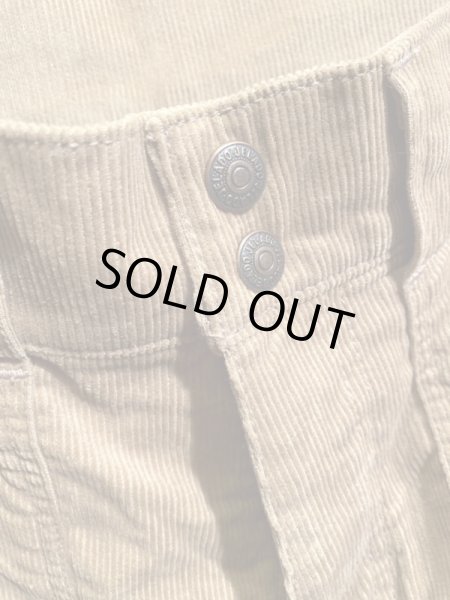 画像3: JELADO/Corduroy Bush Shorts キャメル (3)