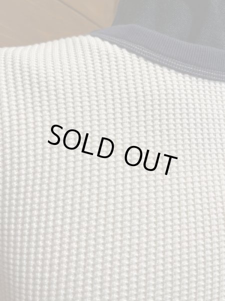 画像4: JELADO/Mega Thermal  バニラｘネイビー (4)