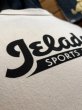 画像5: JELADO/ジェラードロゴ Tee バニラ (5)