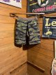 画像2: Cushman/Minipile Sweat Shorts (2)