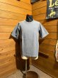 画像1: Colimbo/Hamptons Fabric TEE (1)