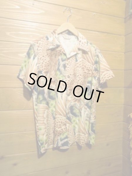 画像3: JELADO/Aloha (3)