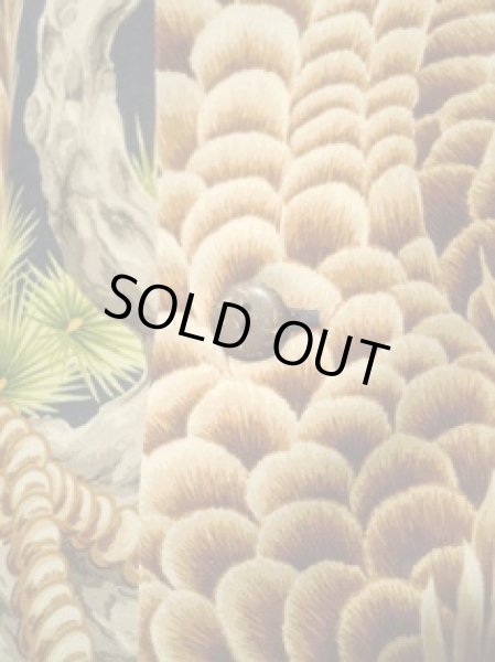 画像7: JELADO/Aloha (7)